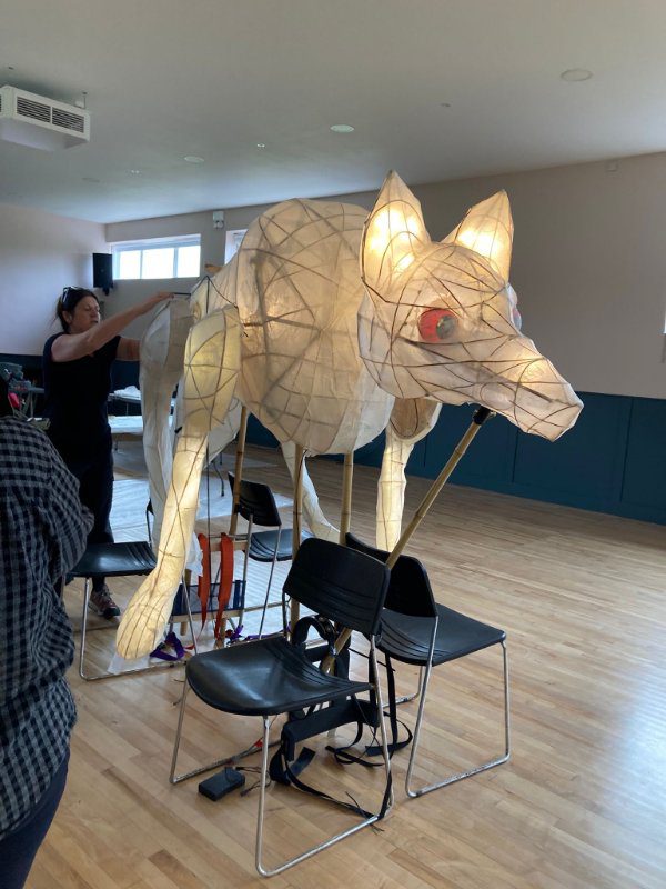 A person adjusts a large, illuminated wolf puppet made of translucent material in a room with wooden floors and scattered chairs.